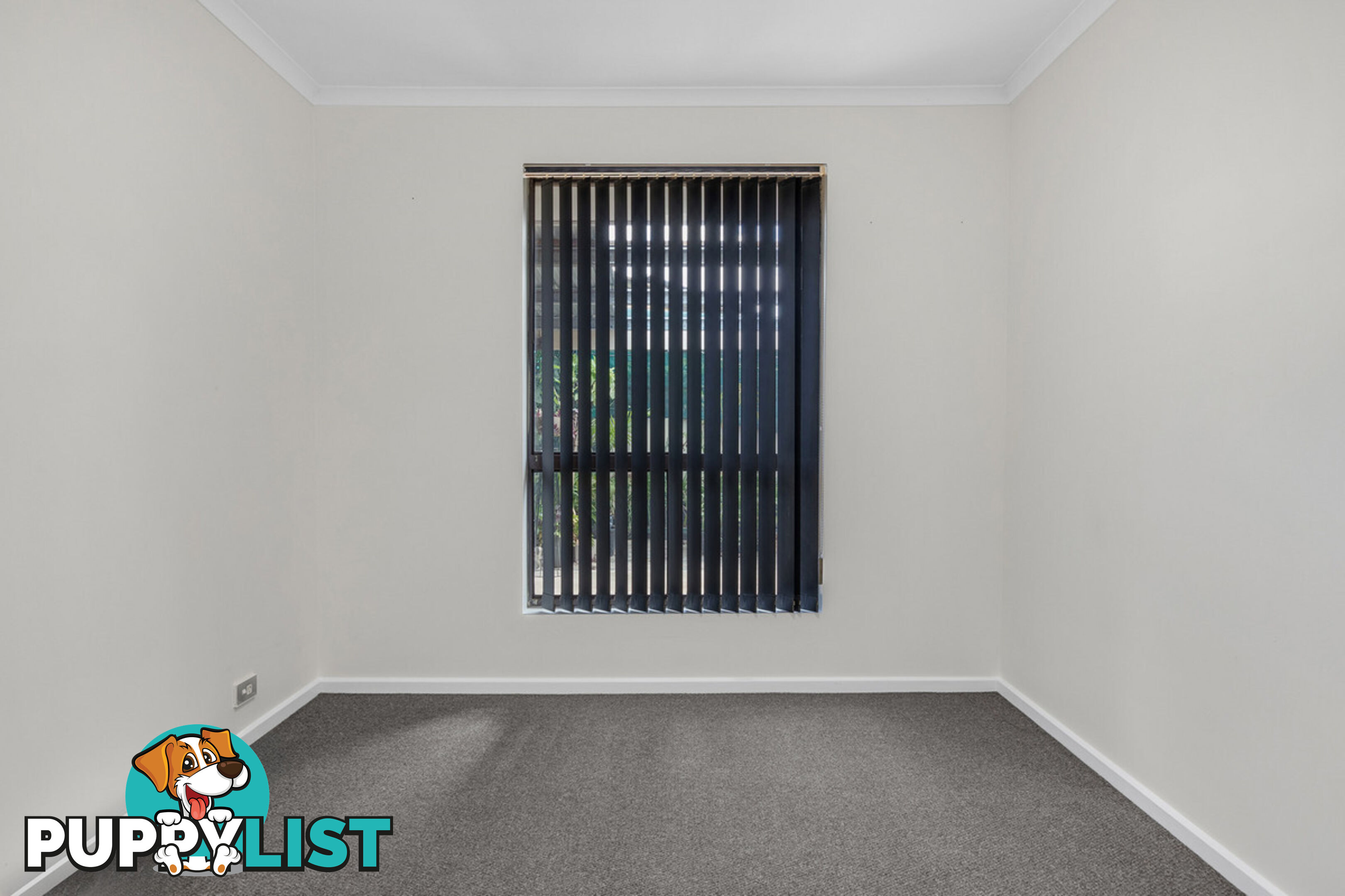 6 Rose Street SMITHFIELD SA 5114