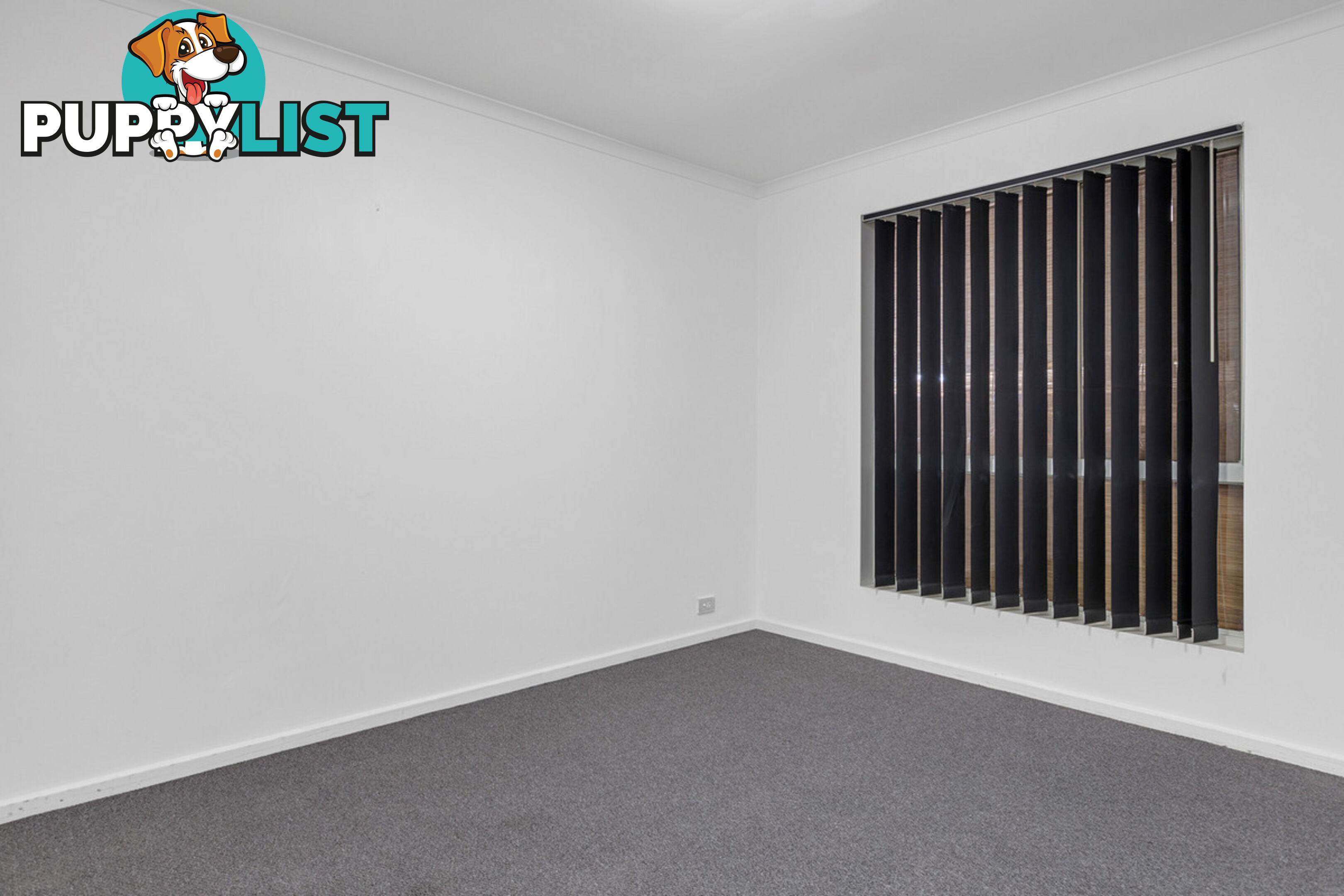 6 Rose Street SMITHFIELD SA 5114