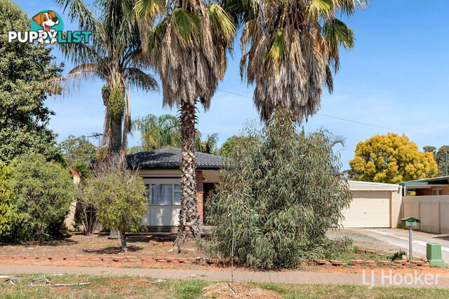 6 Robins Street ELIZABETH DOWNS SA 5113