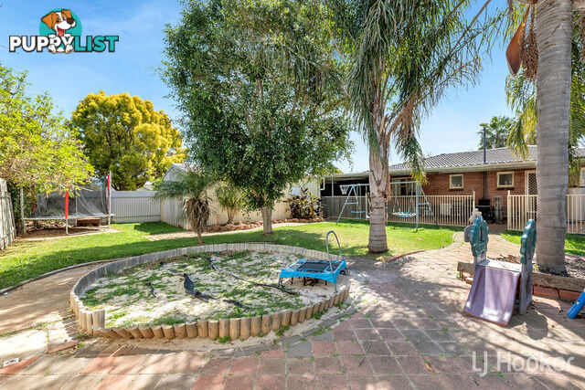 6 Robins Street ELIZABETH DOWNS SA 5113