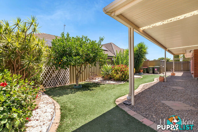 18 Lachlan Drive CRAIGMORE SA 5114