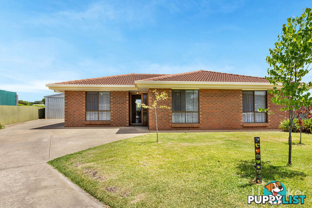 11 Blaxland Street NURIOOTPA SA 5355