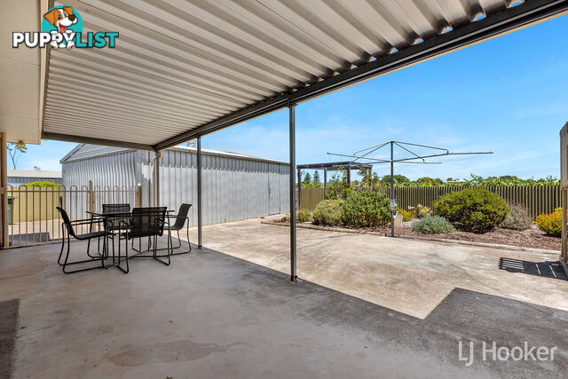 11 Blaxland Street NURIOOTPA SA 5355