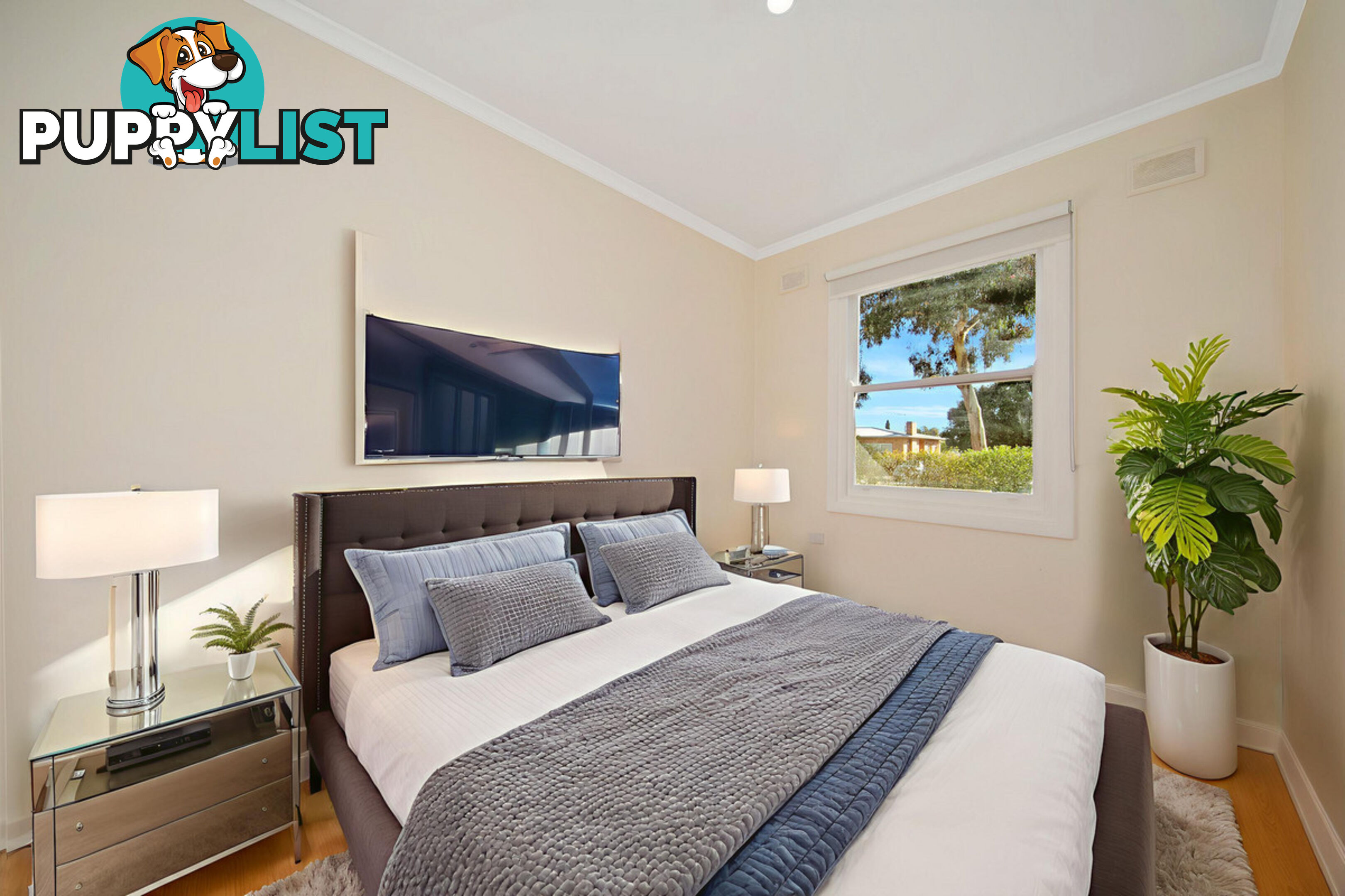 24 Filsoll Street ELIZABETH DOWNS SA 5113