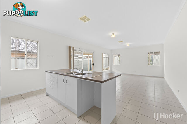 6 Teviot Place BLAKEVIEW SA 5114