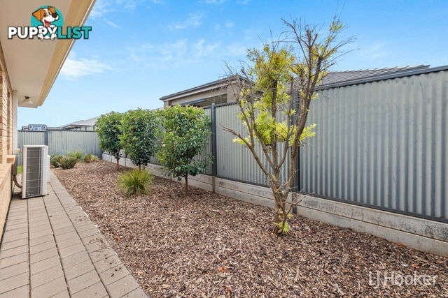 6 Teviot Place BLAKEVIEW SA 5114