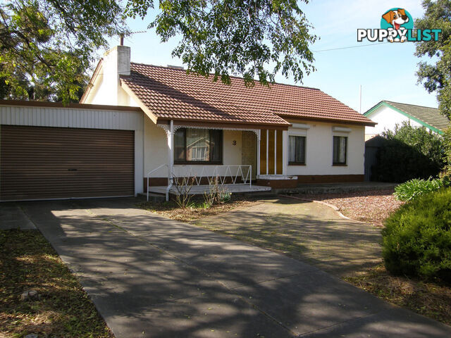 3 Coulter Street ELIZABETH PARK SA 5113