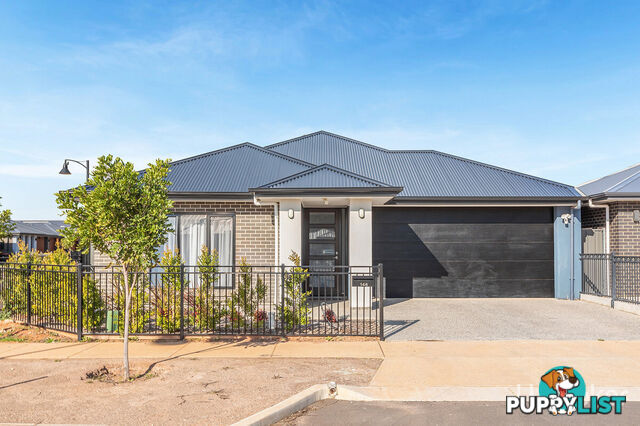 146 Douglas Drive MUNNO PARA SA 5115