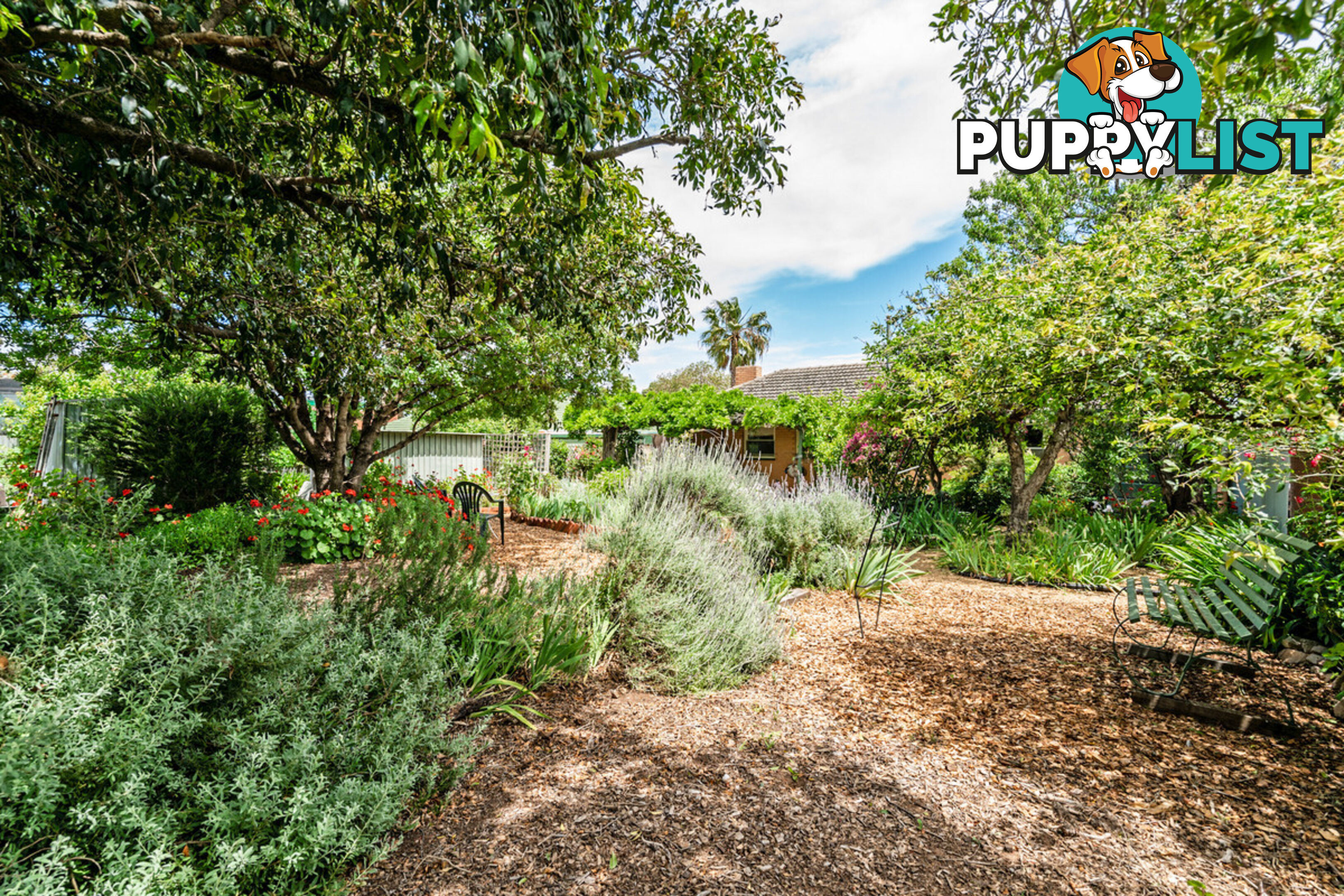 15 Waldron Street ELIZABETH EAST SA 5112