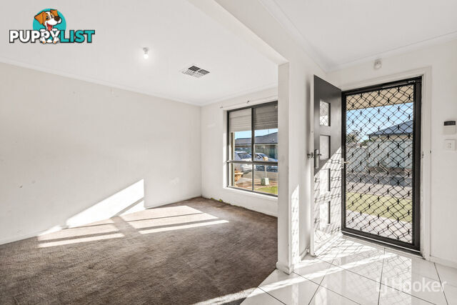 23 Dover Place ELIZABETH PARK SA 5113