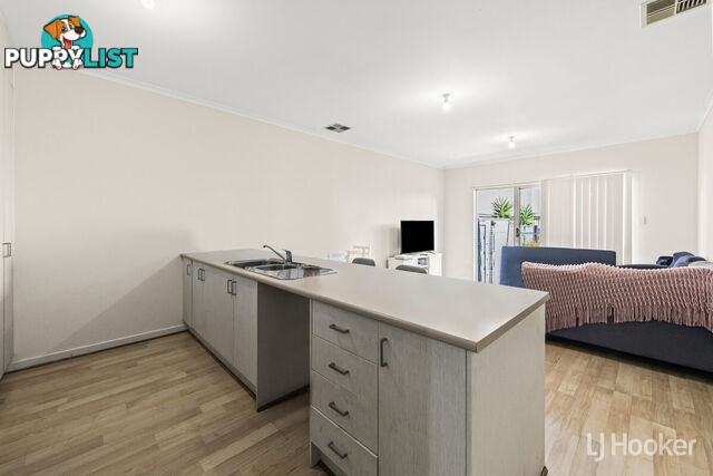 35 Park Terrace BLAKEVIEW SA 5114