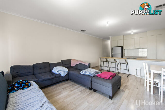 35 Park Terrace BLAKEVIEW SA 5114