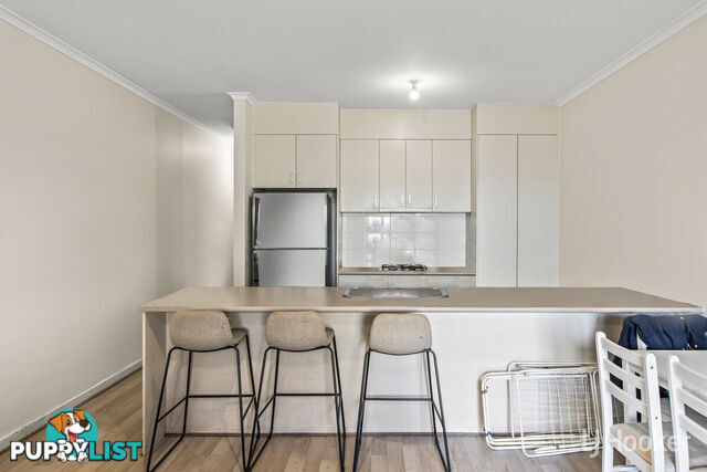 35 Park Terrace BLAKEVIEW SA 5114