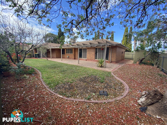 29 Perre Drive CRAIGMORE SA 5114