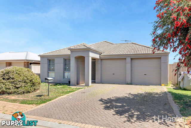 36 William Drive DAVOREN PARK SA 5113