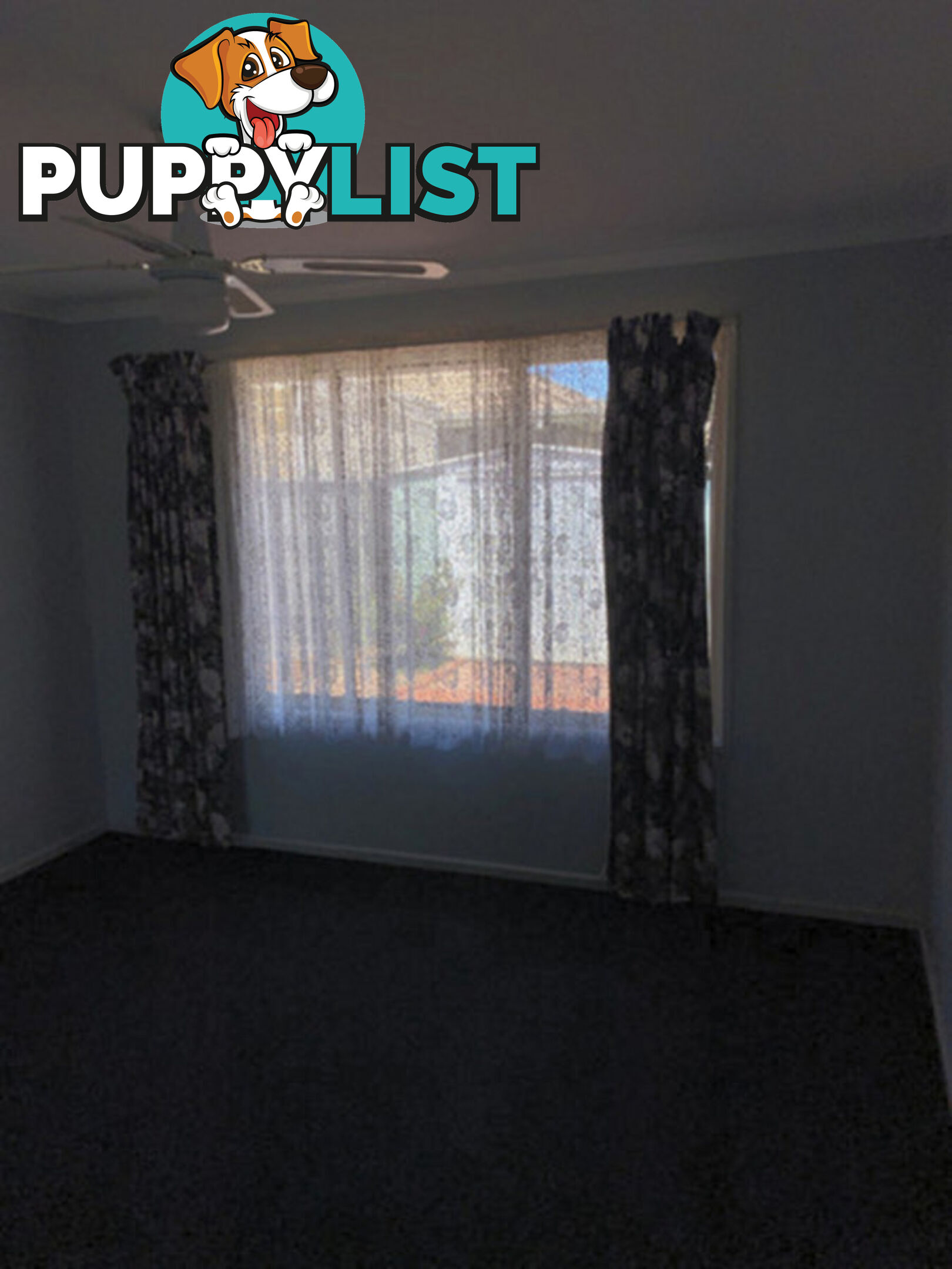 8 Newland Court BLAKEVIEW SA 5114