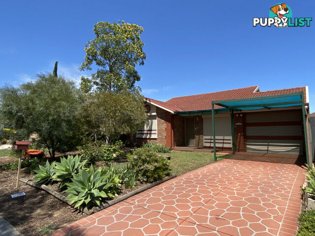 8 Newland Court BLAKEVIEW SA 5114