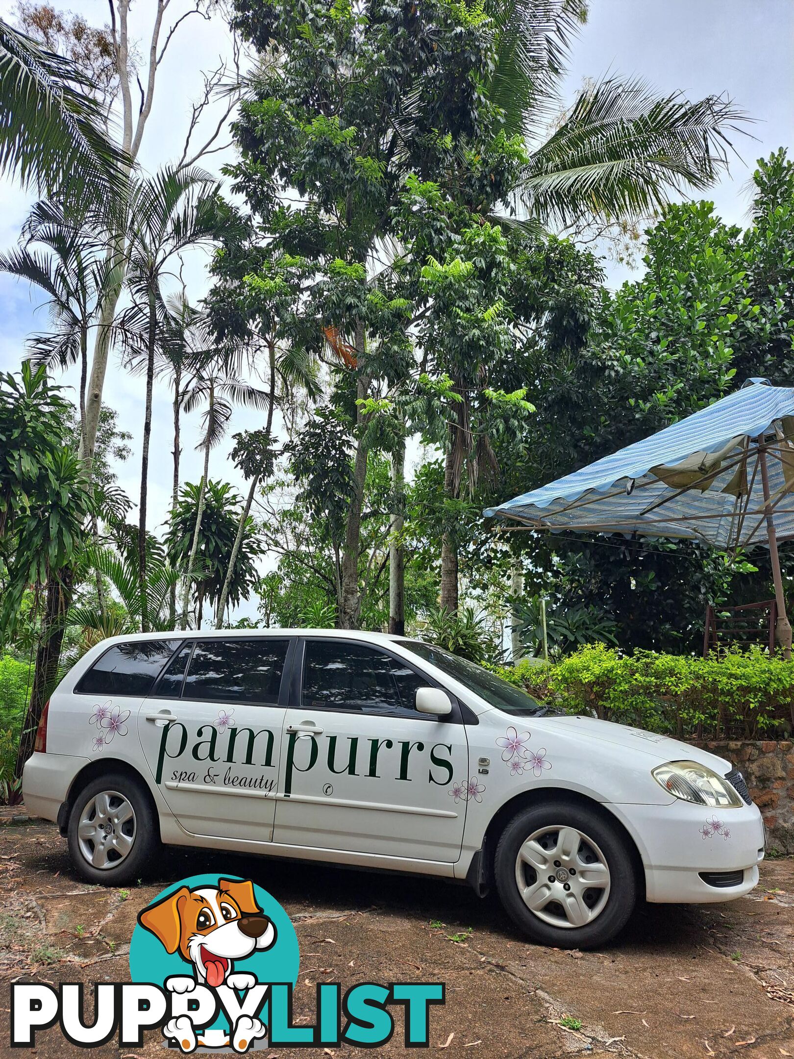 Pampurrs beauty business in the Whitsundays