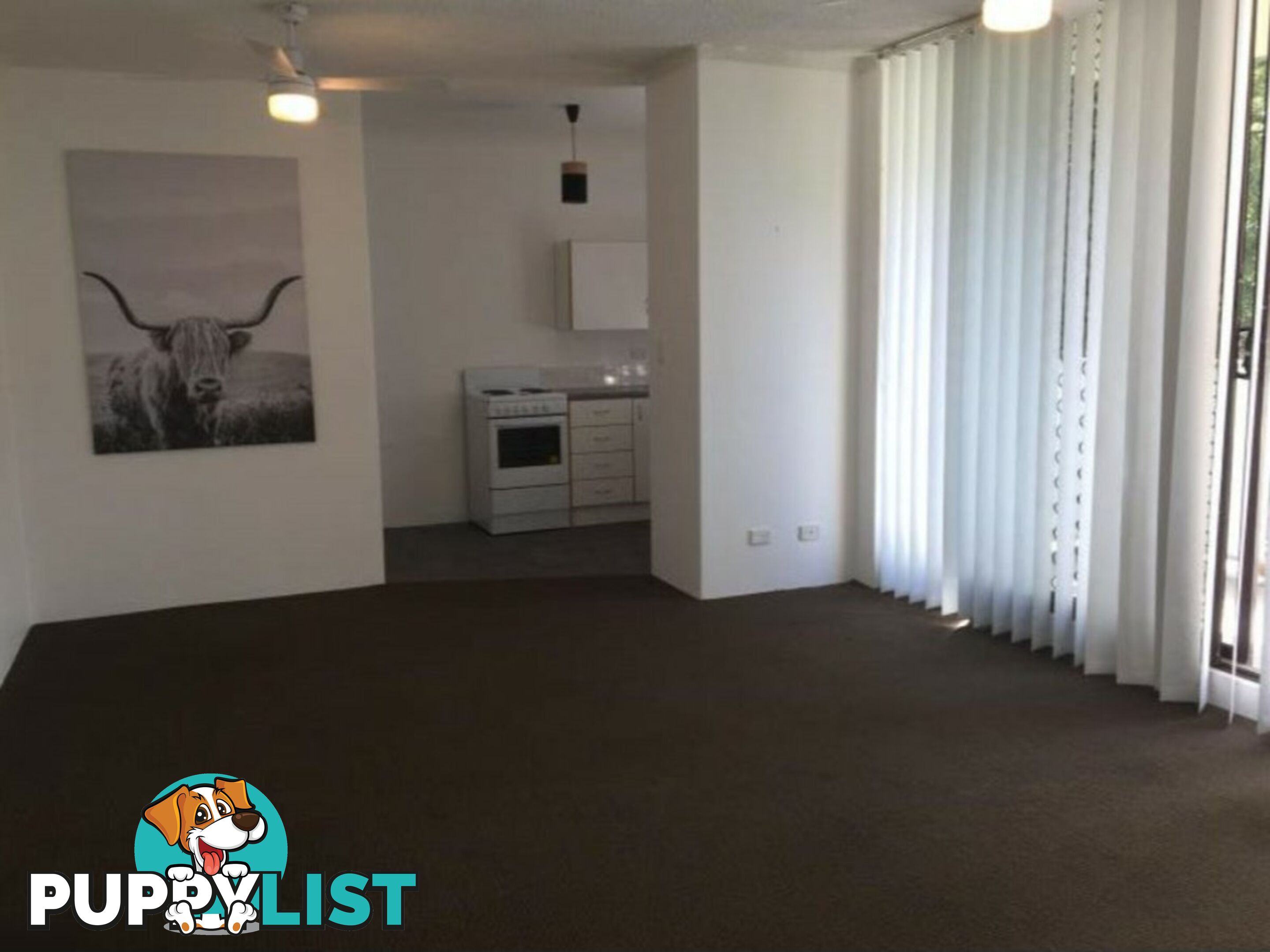 17/56 Park Avenue KINGSWOOD NSW 2747