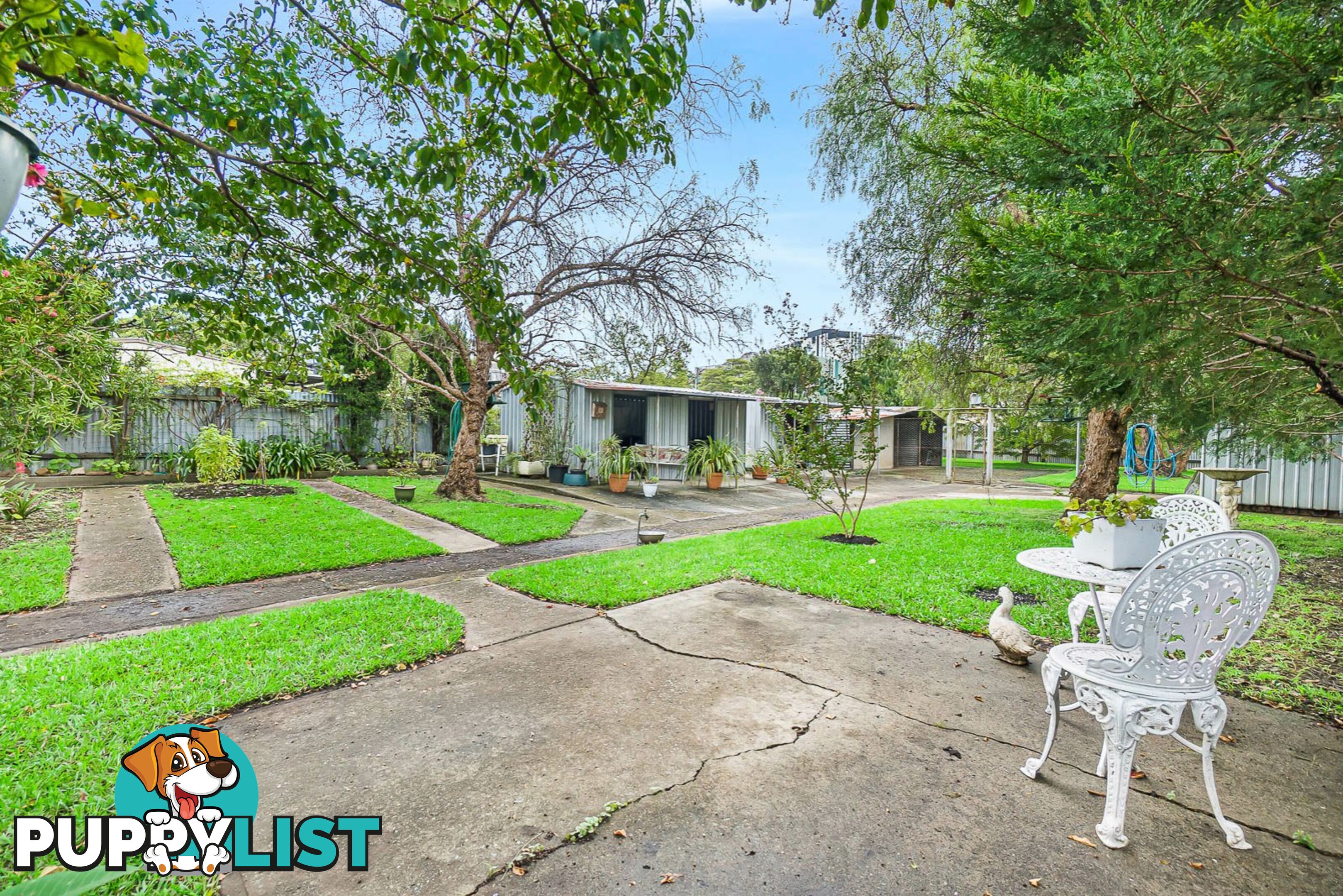 41 Stafford Street KINGSWOOD NSW 2747