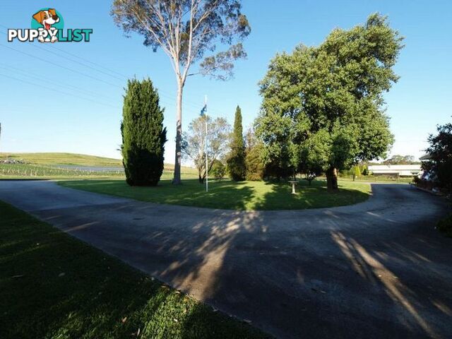 50 Castle Road ORCHARD HILLS NSW 2748