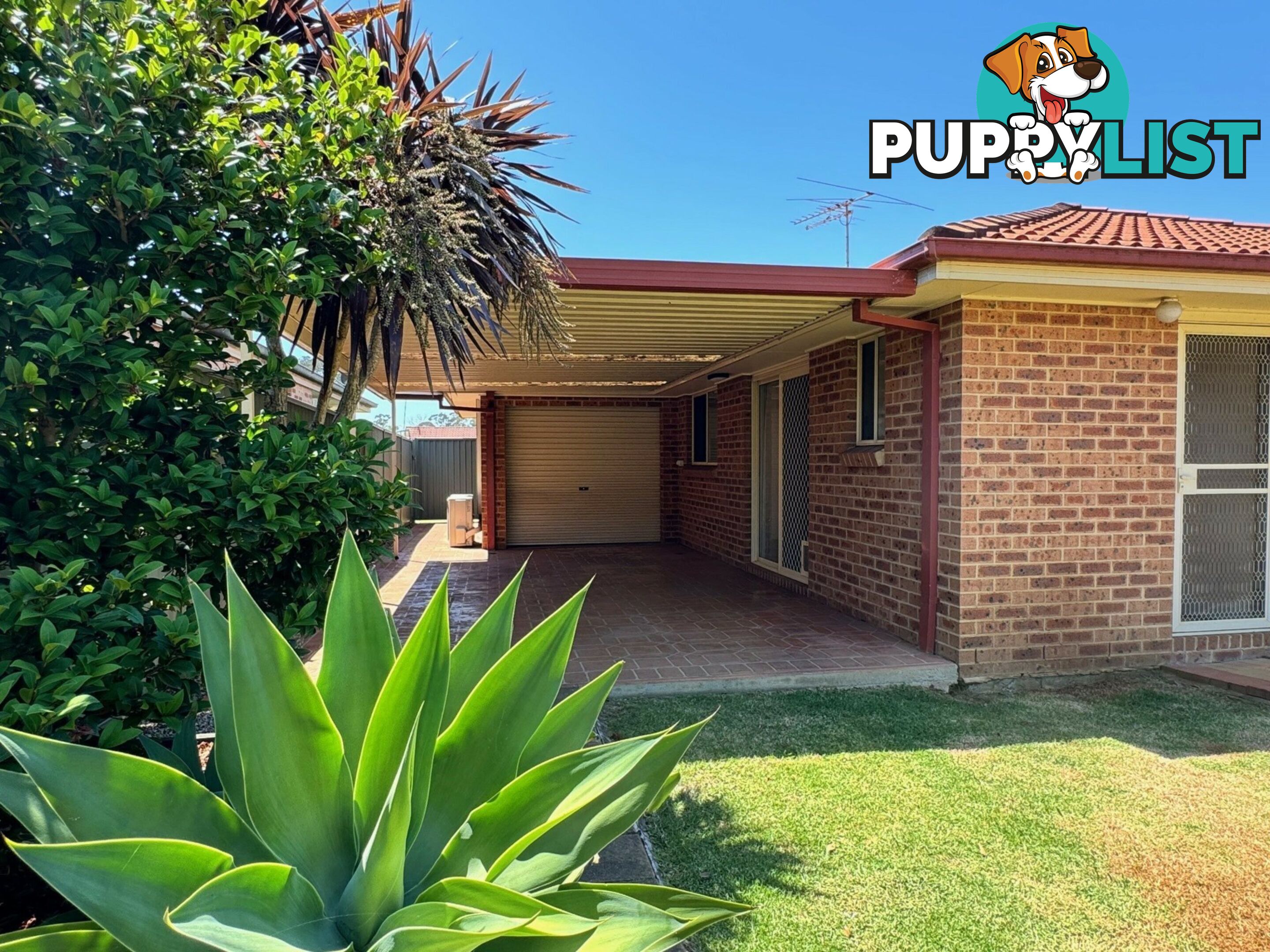 12 Andrew Thompson Place COLYTON NSW 2760