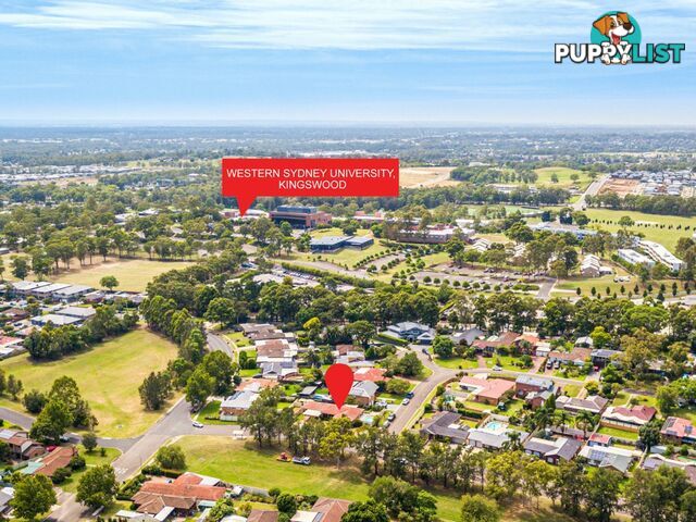 4 Casuarina Circuit KINGSWOOD NSW 2747