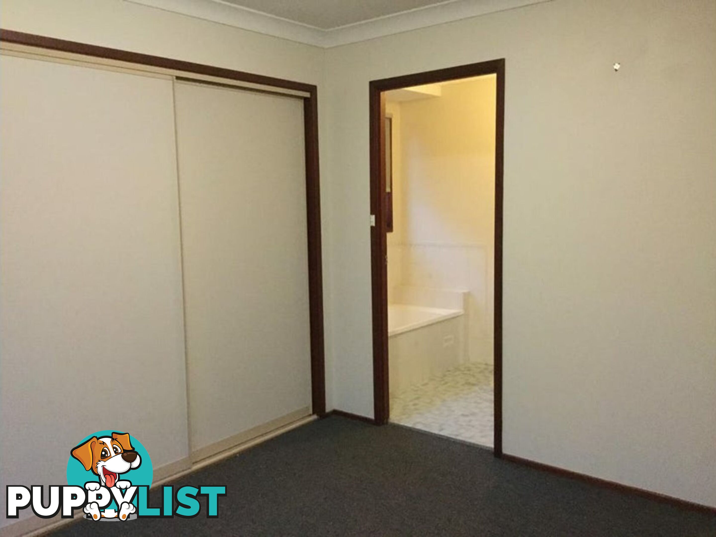 13 Vivaldi crescent CLAREMONT MEADOWS NSW 2747