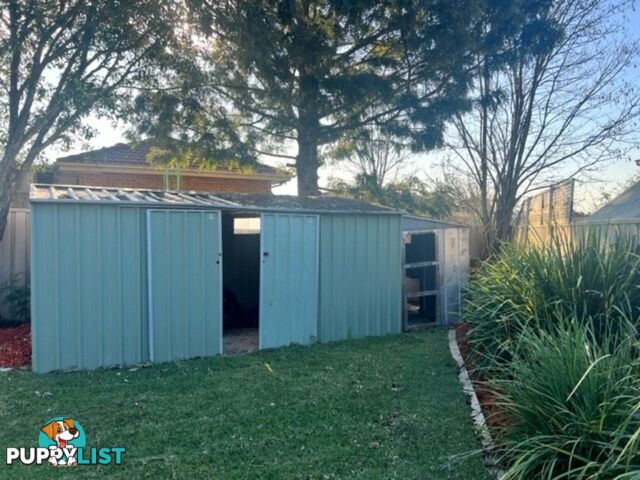 3 Hay Close ST CLAIR NSW 2759