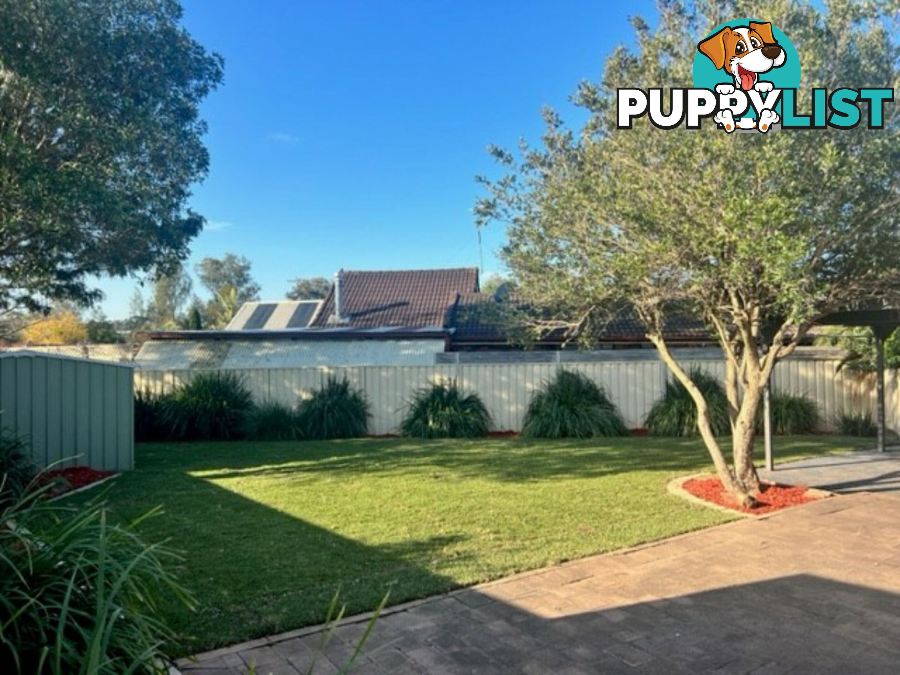 3 Hay Close ST CLAIR NSW 2759