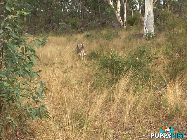 L6/17/27 Putty Road PUTTY NSW 2330