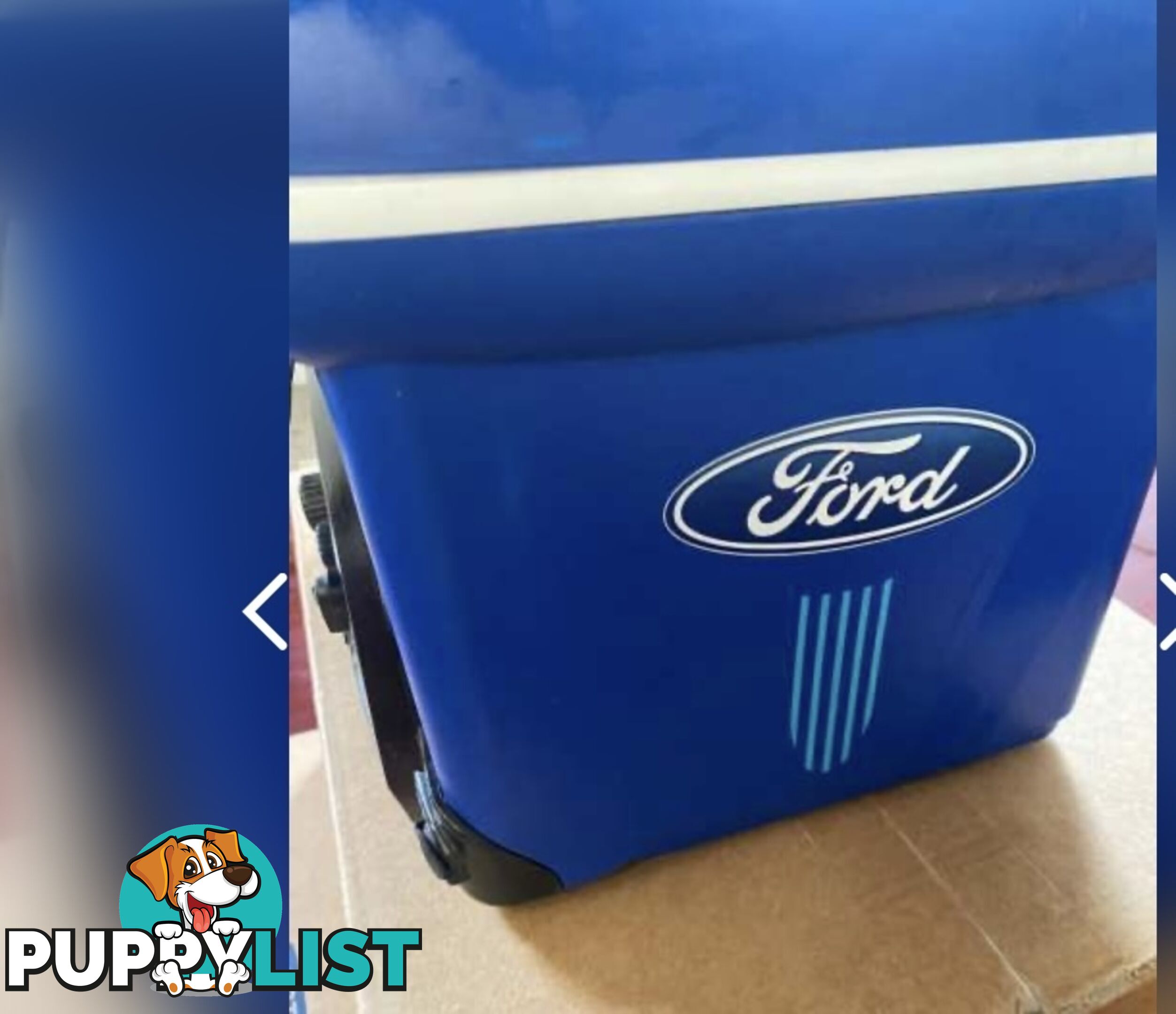 Ford Esky Radio