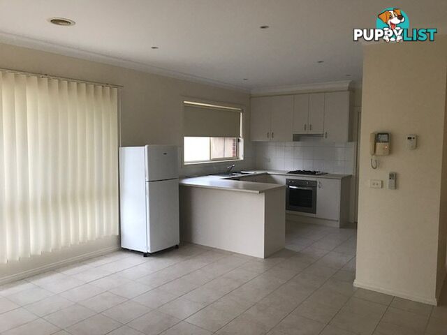 Room 5, Unit 2/18 Glenbrook Avenue CLAYTON VIC 3168