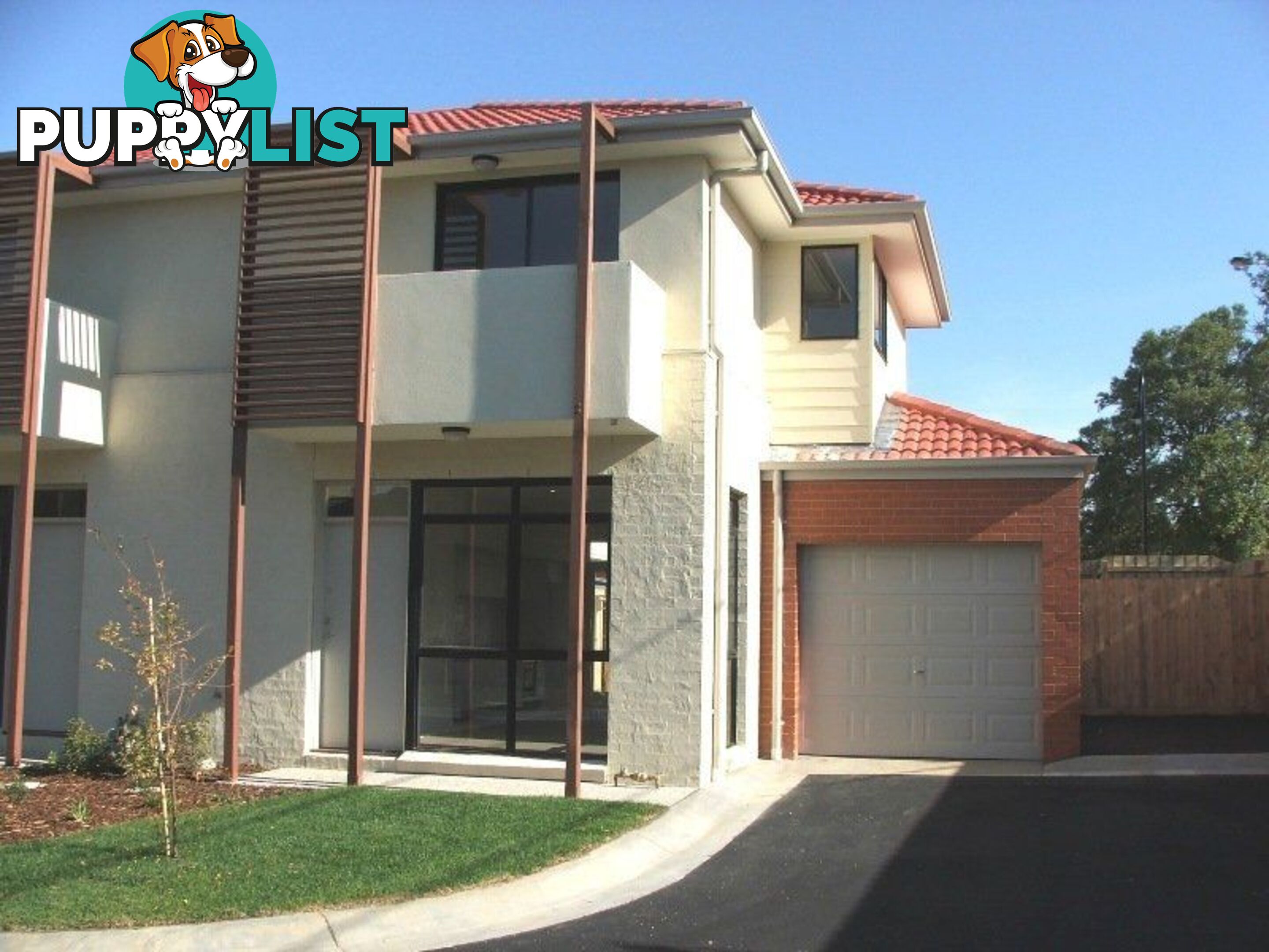 6 Brushbox Court CLAYTON VIC 3168