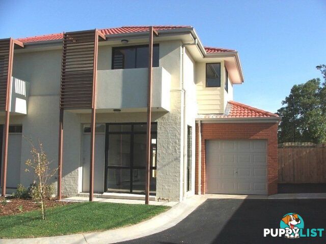 6 Brushbox Court CLAYTON VIC 3168