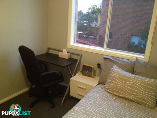 Unit 1/3 Rose Street CLAYTON VIC 3168