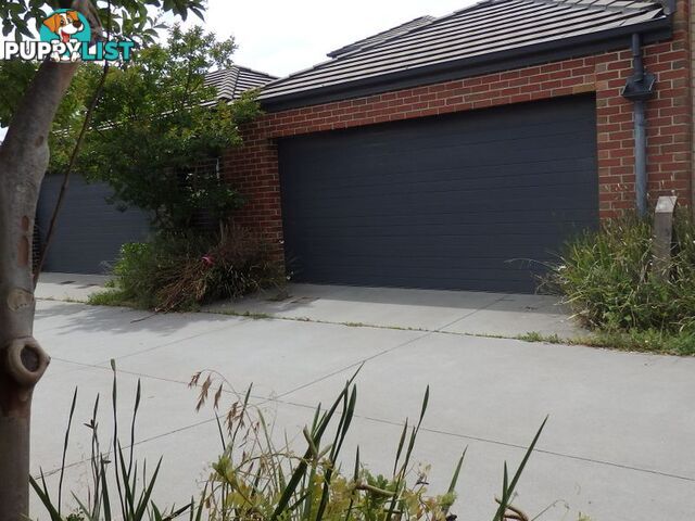 15 Crimson Grove CLAYTON SOUTH VIC 3169