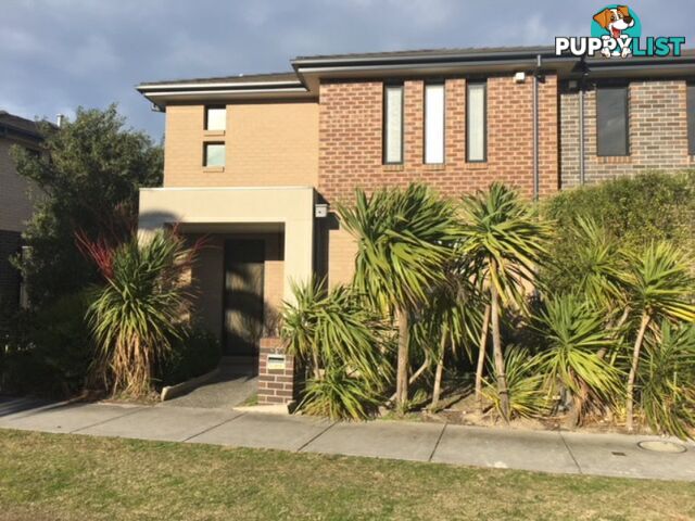 38 Botanic Drive CLAYTON SOUTH VIC 3169