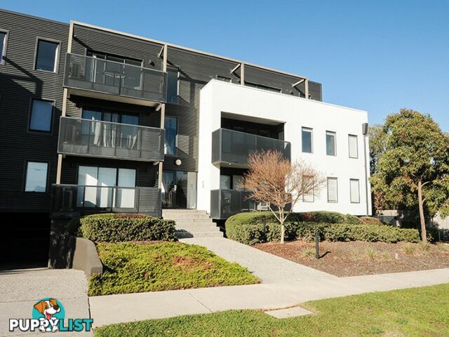 Apartment 12/24 Burton Avenue CLAYTON VIC 3168