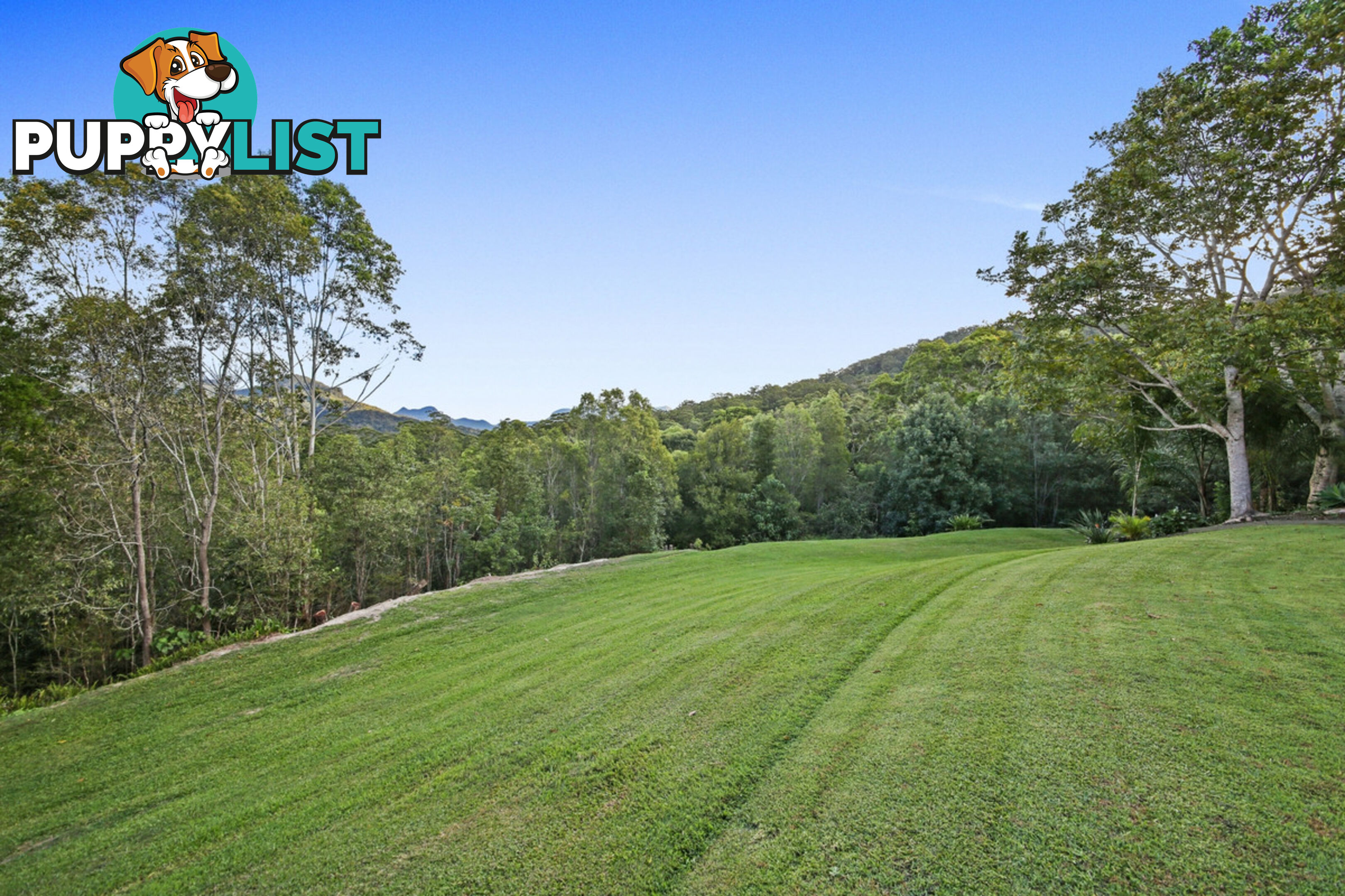 11 Thomas Waters Road TALLEBUDGERA VALLEY QLD 4228