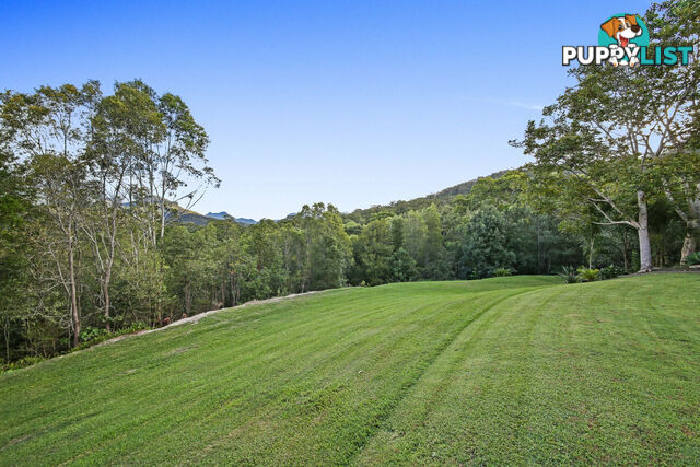 11 Thomas Waters Road TALLEBUDGERA VALLEY QLD 4228