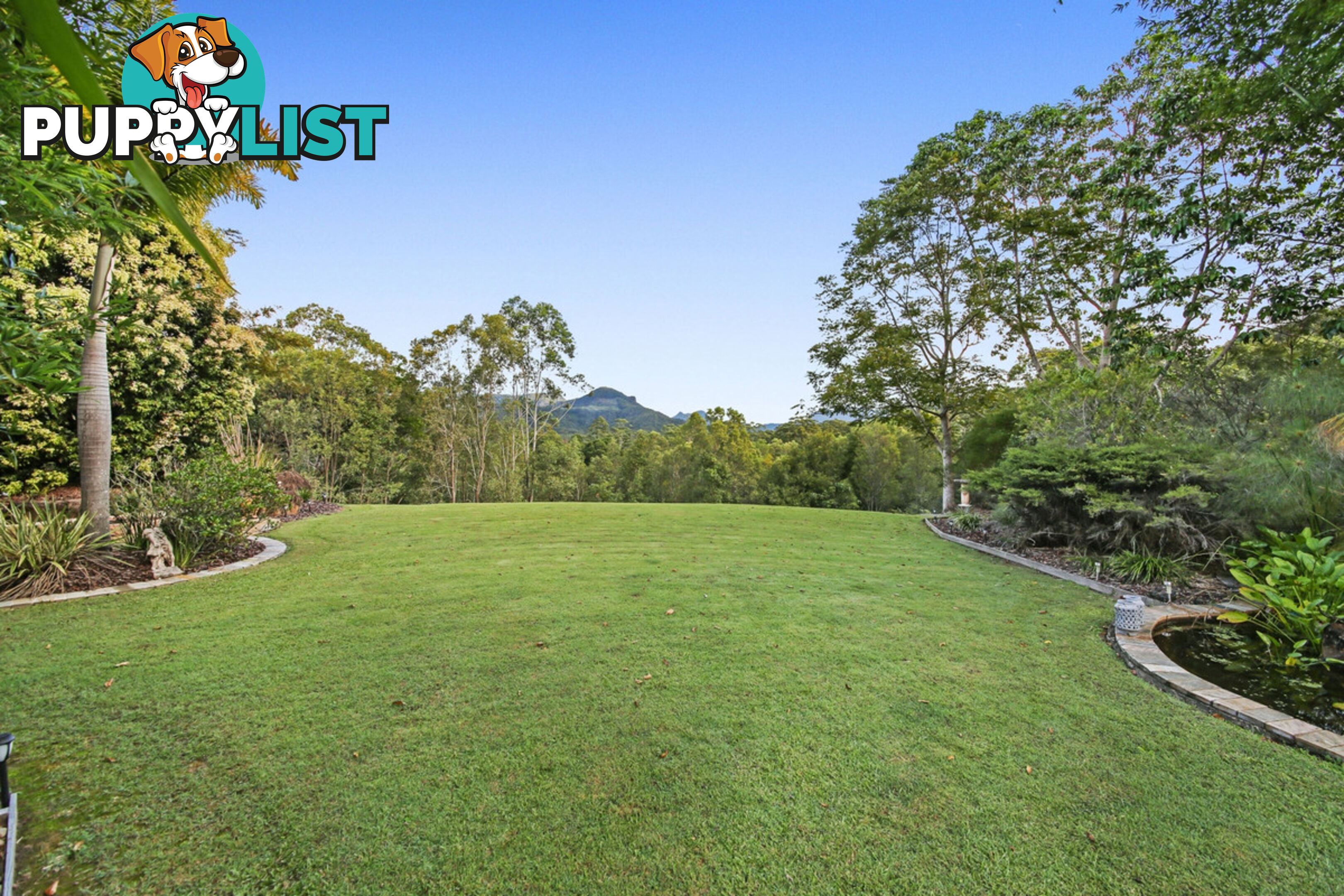 11 Thomas Waters Road TALLEBUDGERA VALLEY QLD 4228