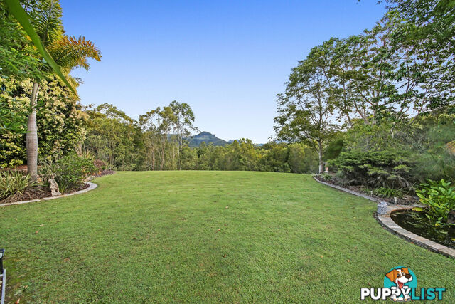 11 Thomas Waters Road TALLEBUDGERA VALLEY QLD 4228