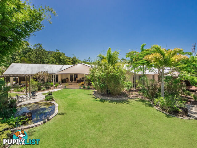 11 Thomas Waters Road TALLEBUDGERA VALLEY QLD 4228