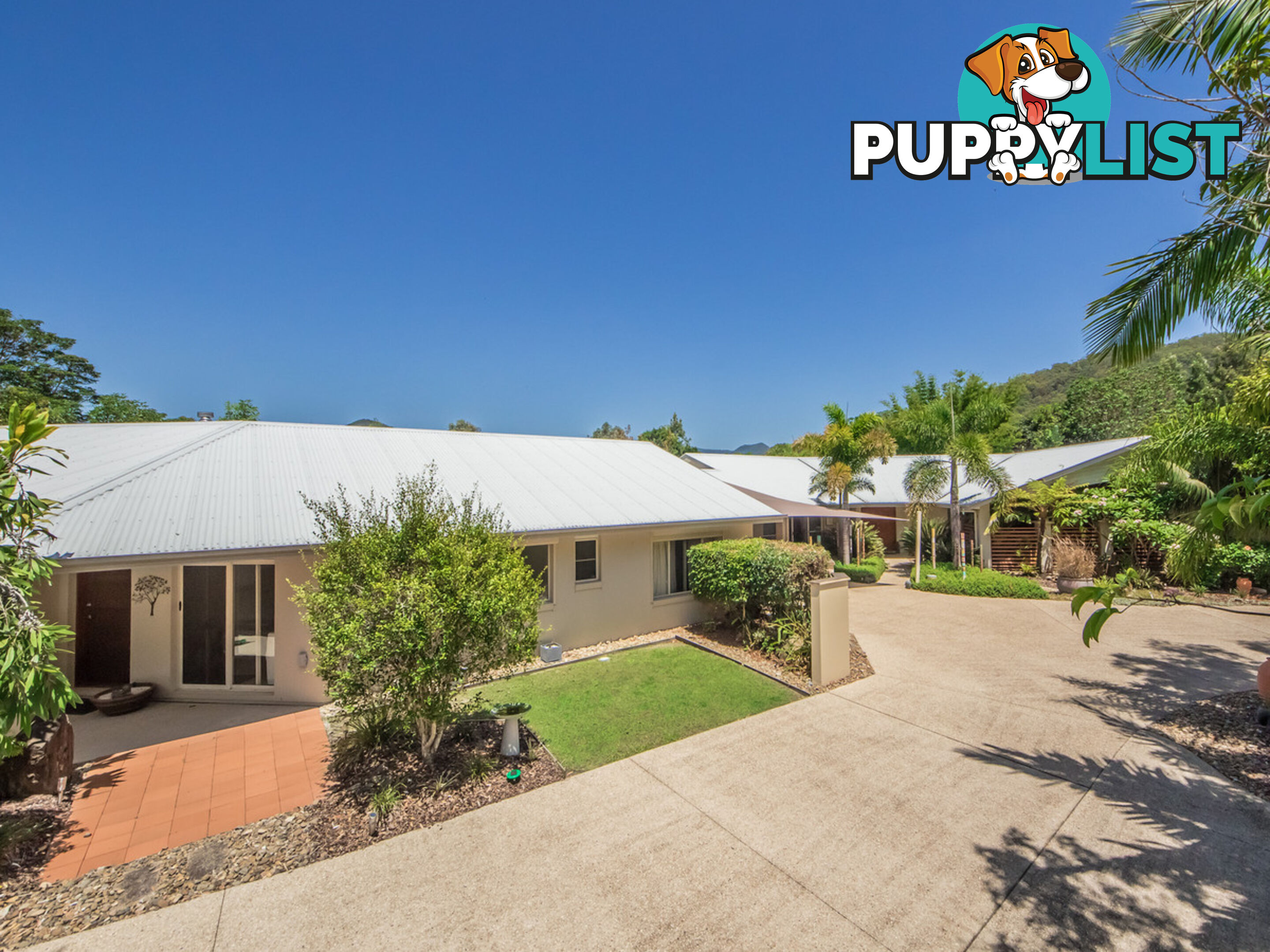 11 Thomas Waters Road TALLEBUDGERA VALLEY QLD 4228