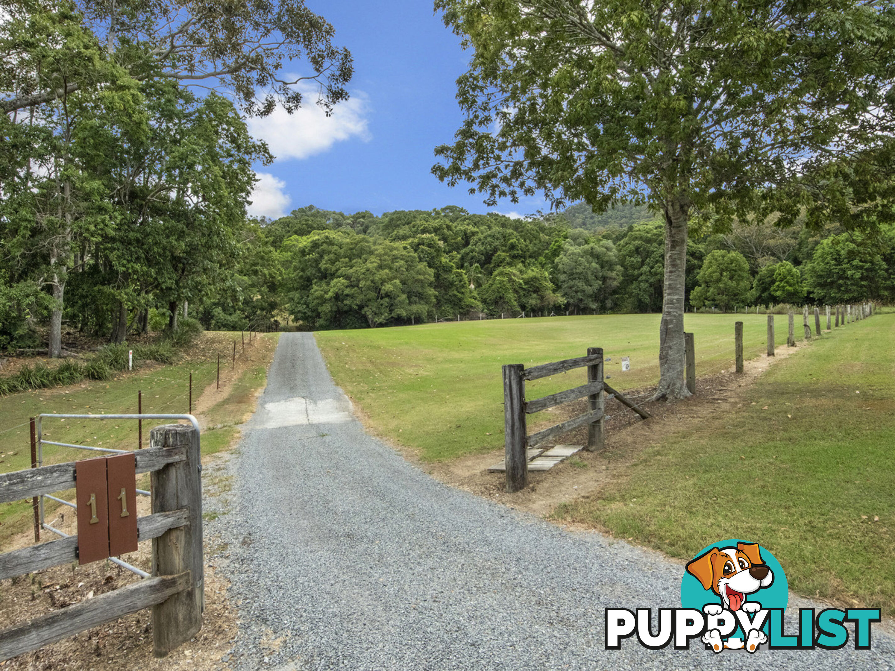 11 Thomas Waters Road TALLEBUDGERA VALLEY QLD 4228