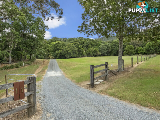 11 Thomas Waters Road TALLEBUDGERA VALLEY QLD 4228