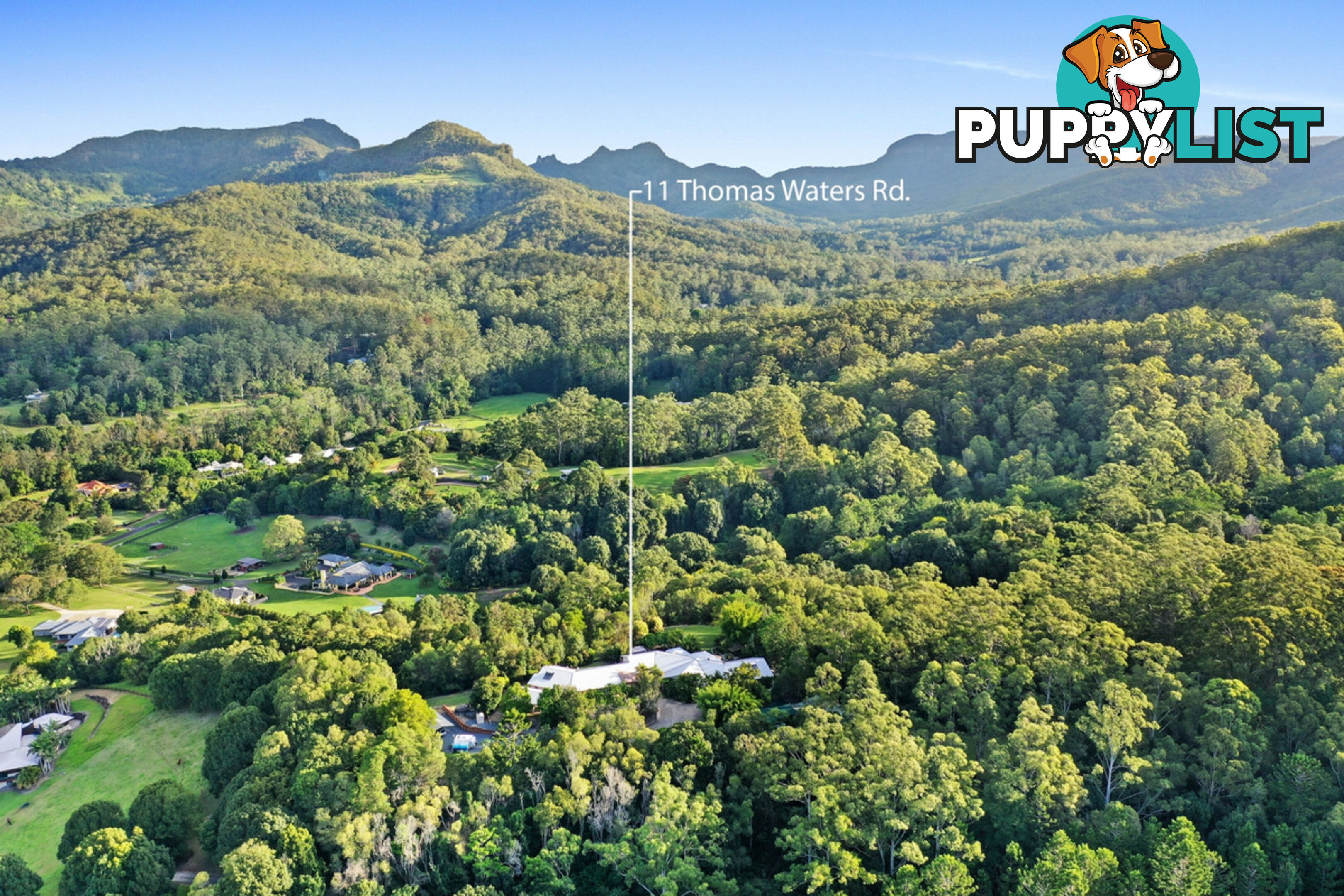 11 Thomas Waters Road TALLEBUDGERA VALLEY QLD 4228