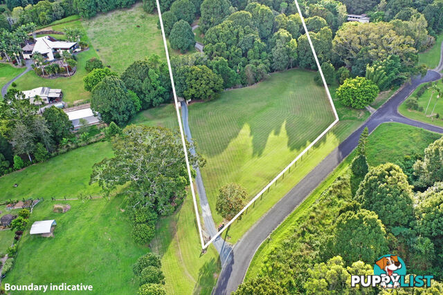 11 Thomas Waters Road TALLEBUDGERA VALLEY QLD 4228