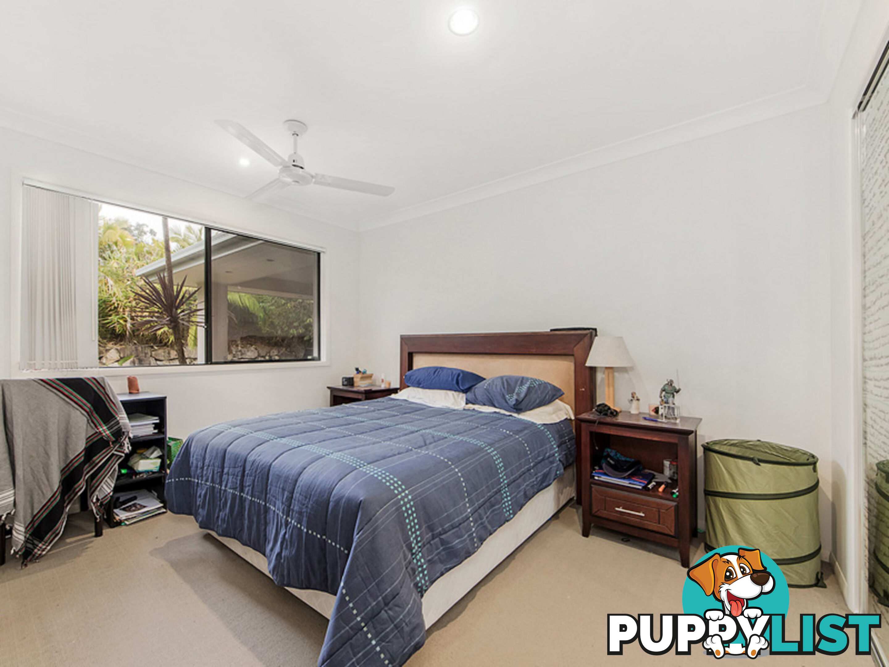 11 Peregrine Street REEDY CREEK QLD 4227